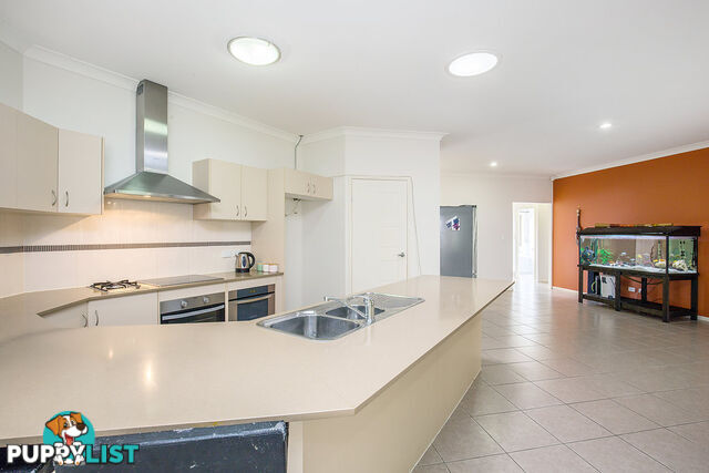 10 Redbay Street UPPER COOMERA QLD 4209