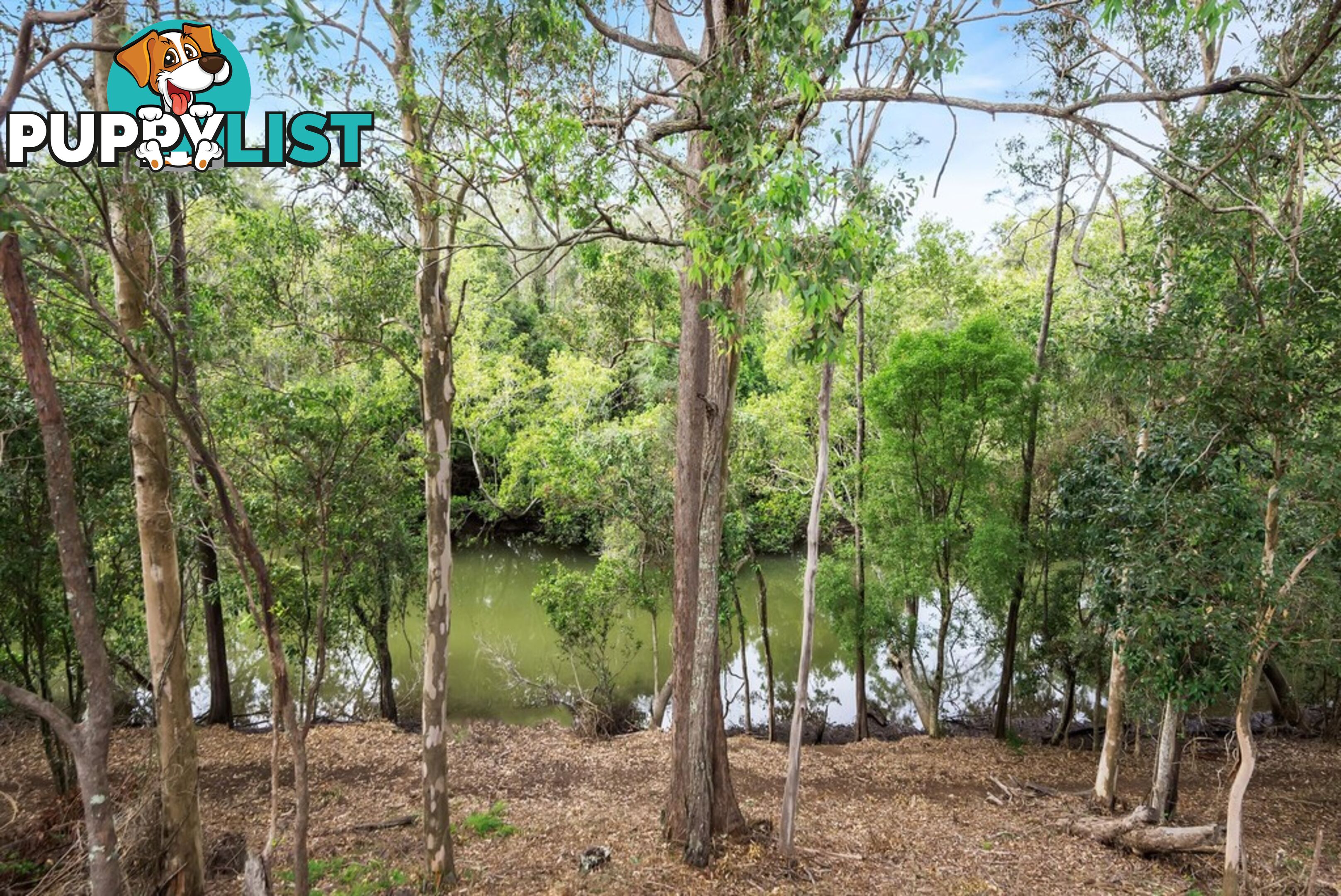 90 River Meadows Drive UPPER COOMERA QLD 4209