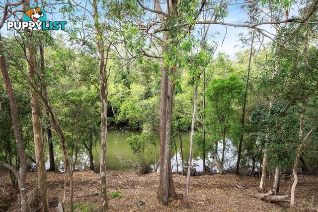 90 River Meadows Drive UPPER COOMERA QLD 4209