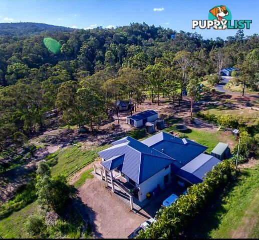 155 Barrenjoey Drive ORMEAU HILLS QLD 4208