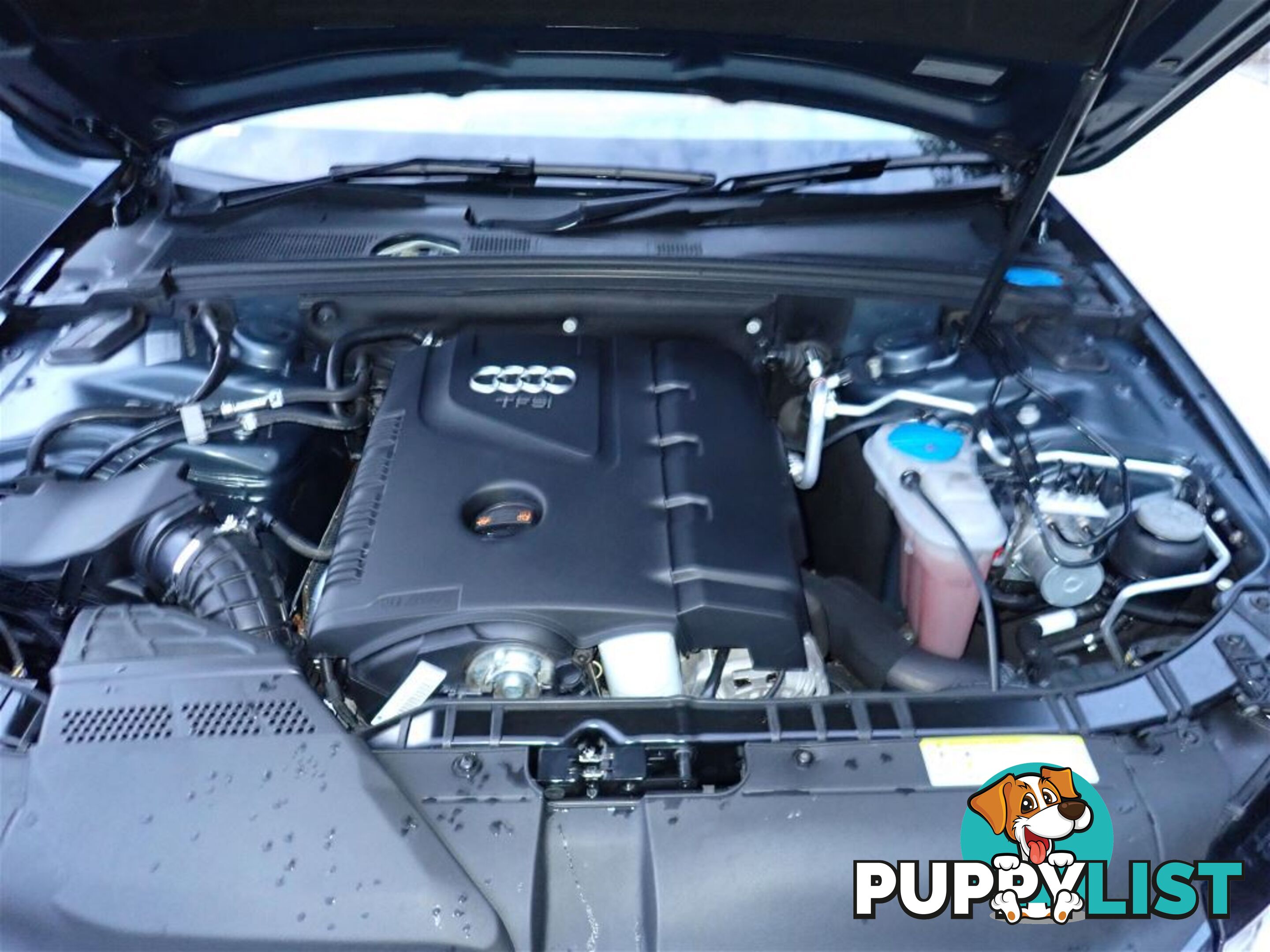 2010 AUDI A4 1.8 TFSI B8 8K MY11 4D SEDAN