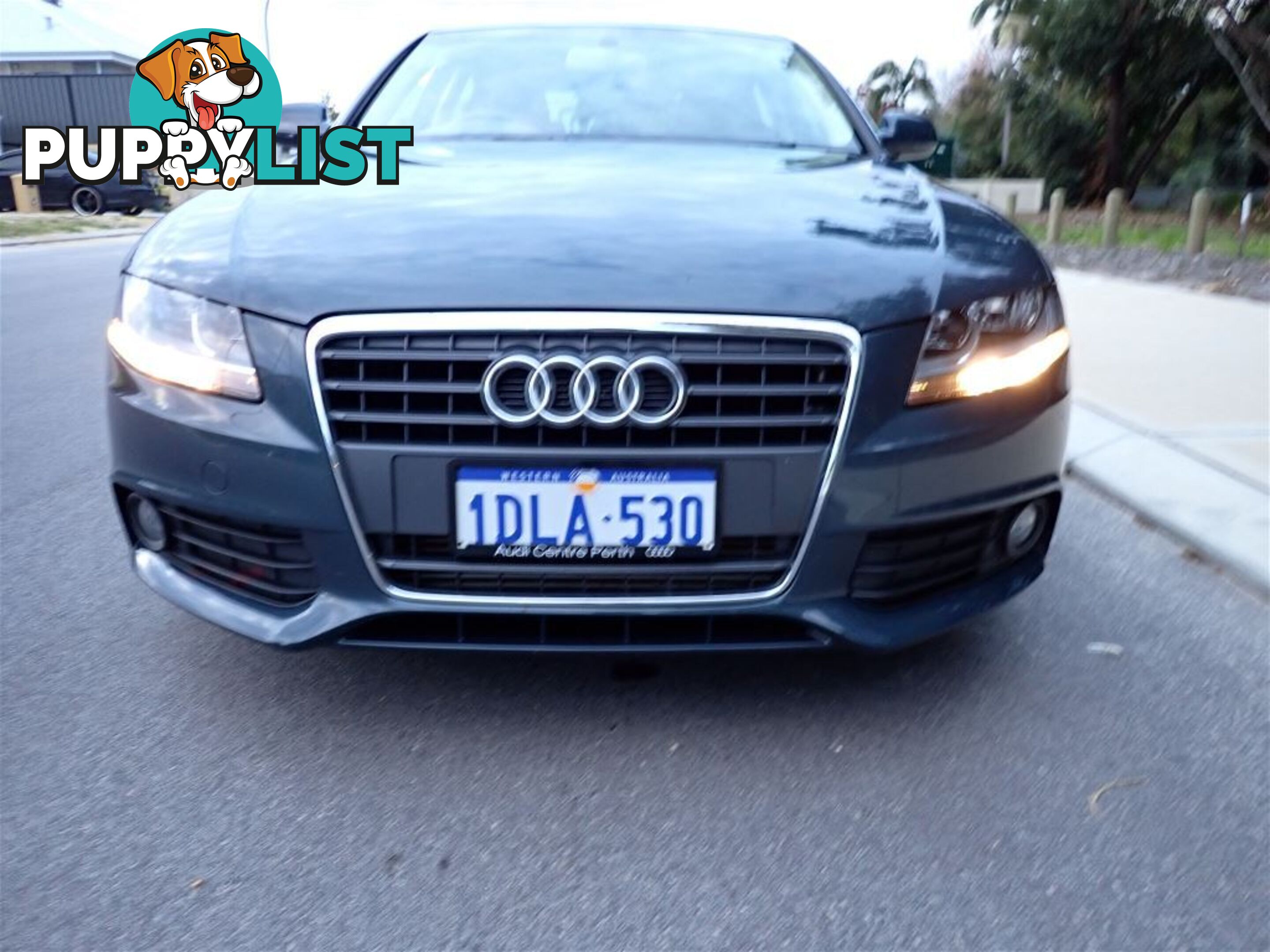 2010 AUDI A4 1.8 TFSI B8 8K MY11 4D SEDAN