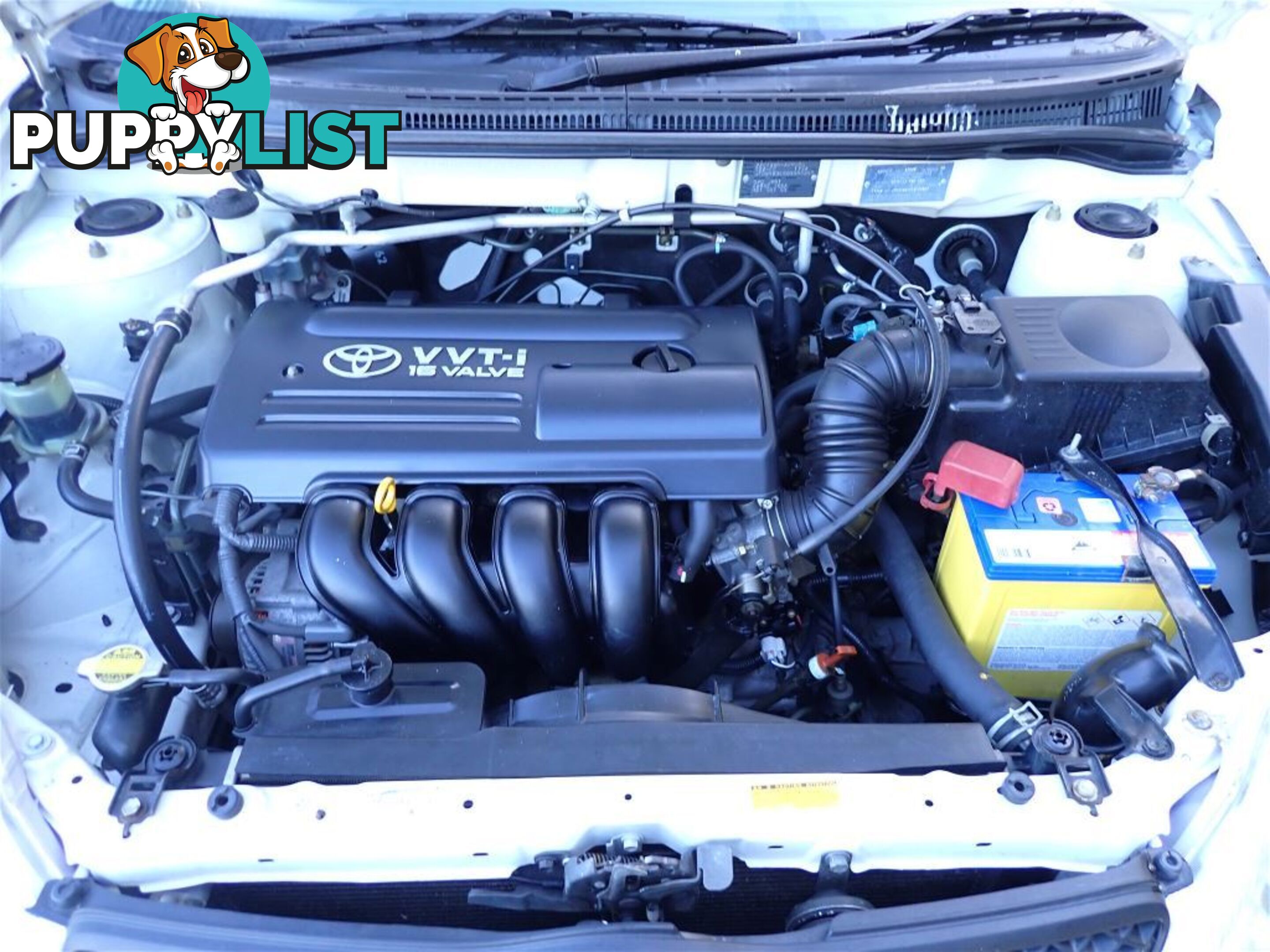2003 TOYOTA COROLLA ASCENT ZZE122R 4D SEDAN