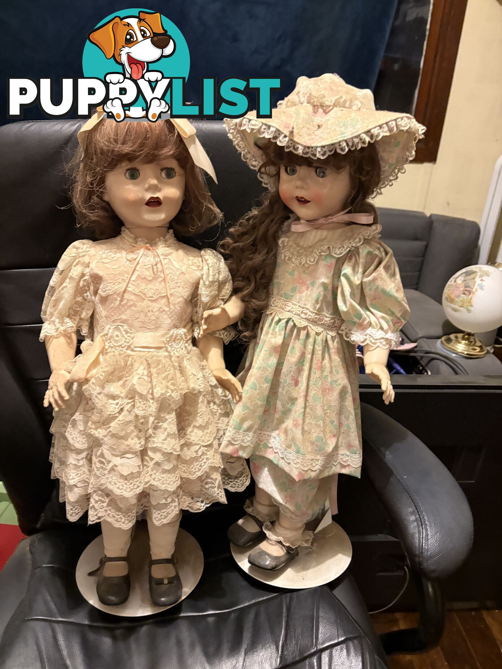 Collectable English Pedigree Dolls