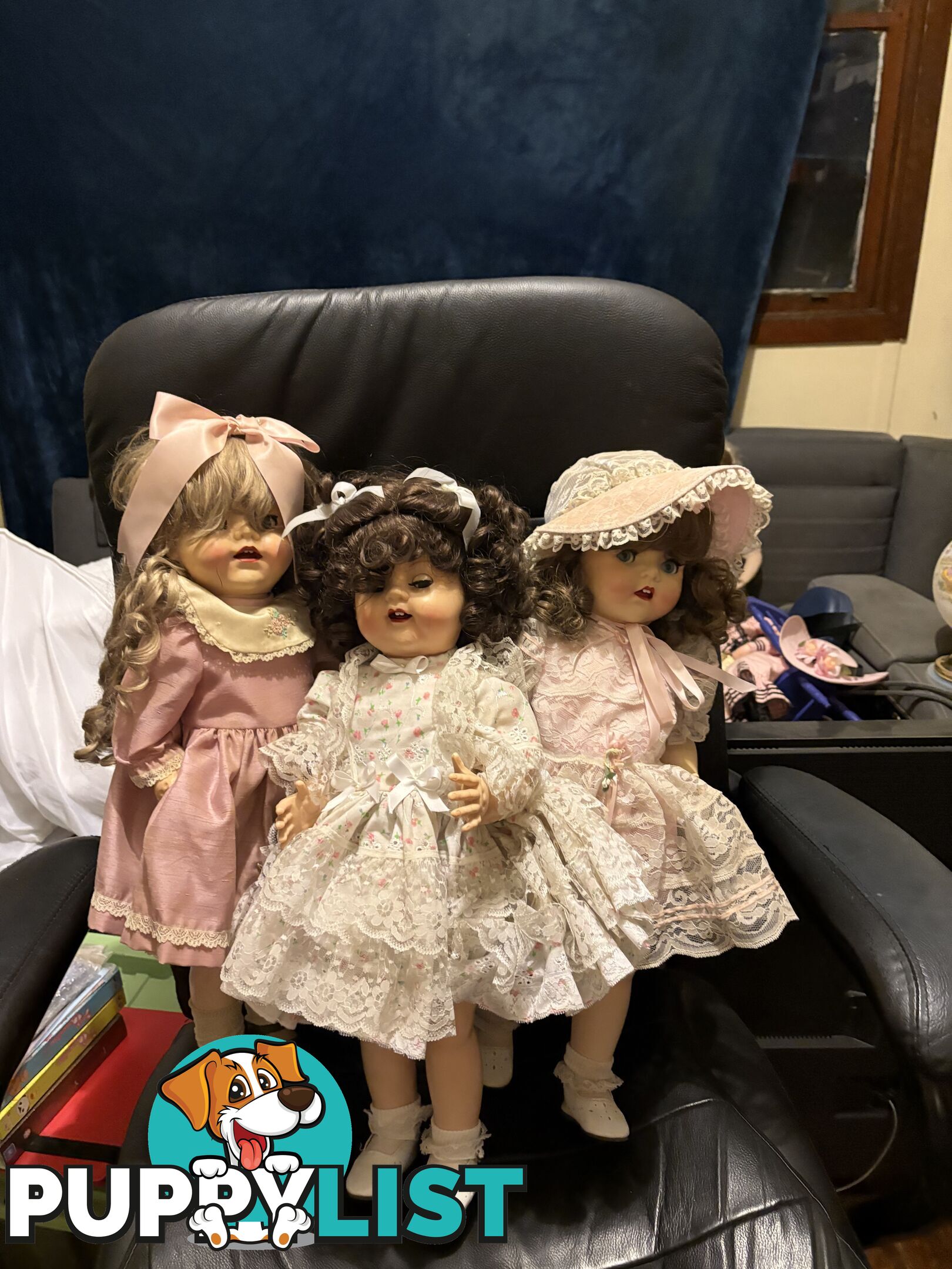 Collectable English Pedigree Dolls