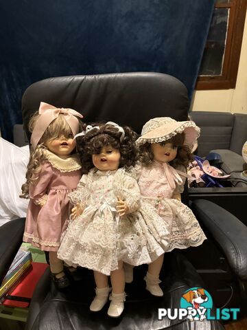 Collectable English Pedigree Dolls