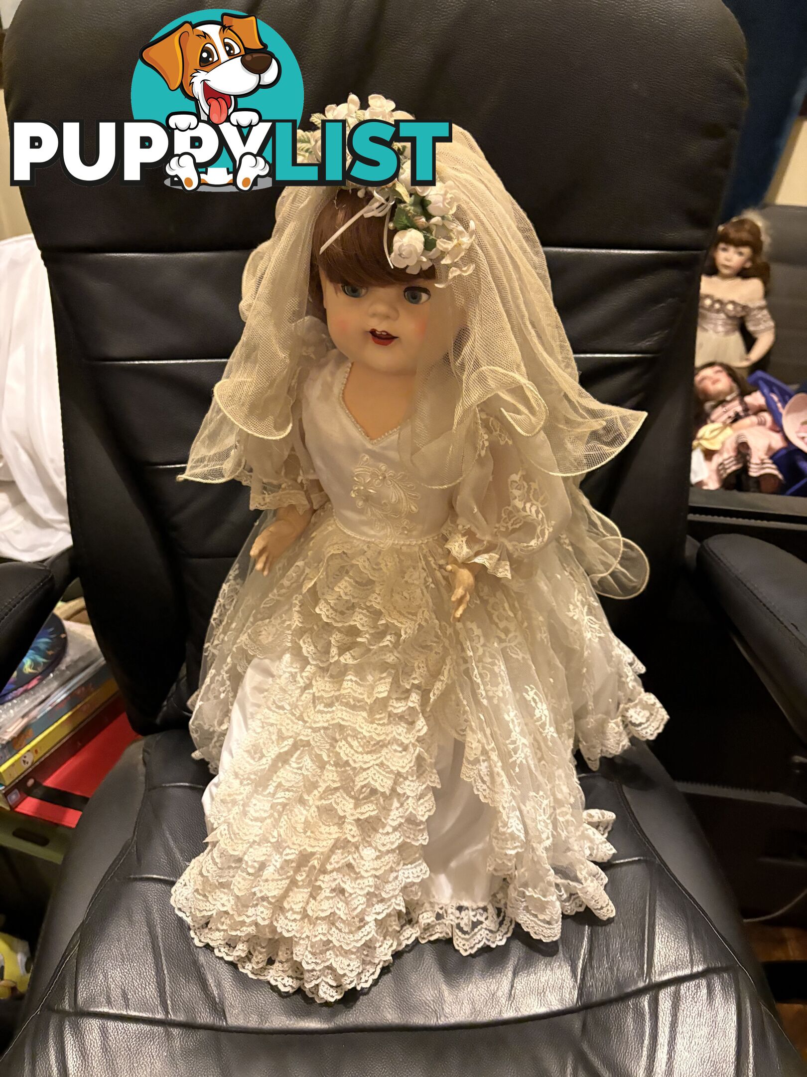 Collectable English Pedigree Dolls