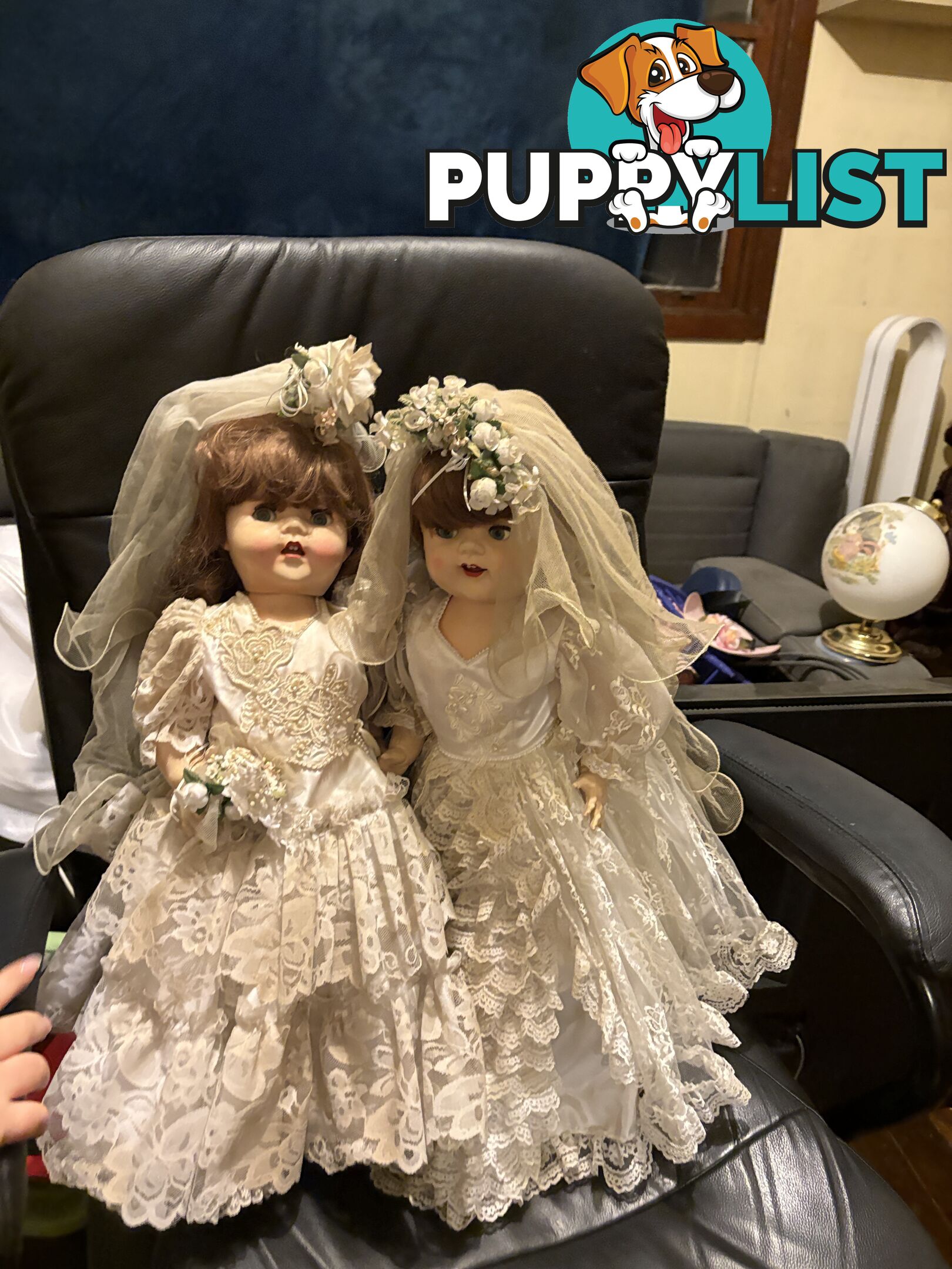 Collectable English Pedigree Dolls