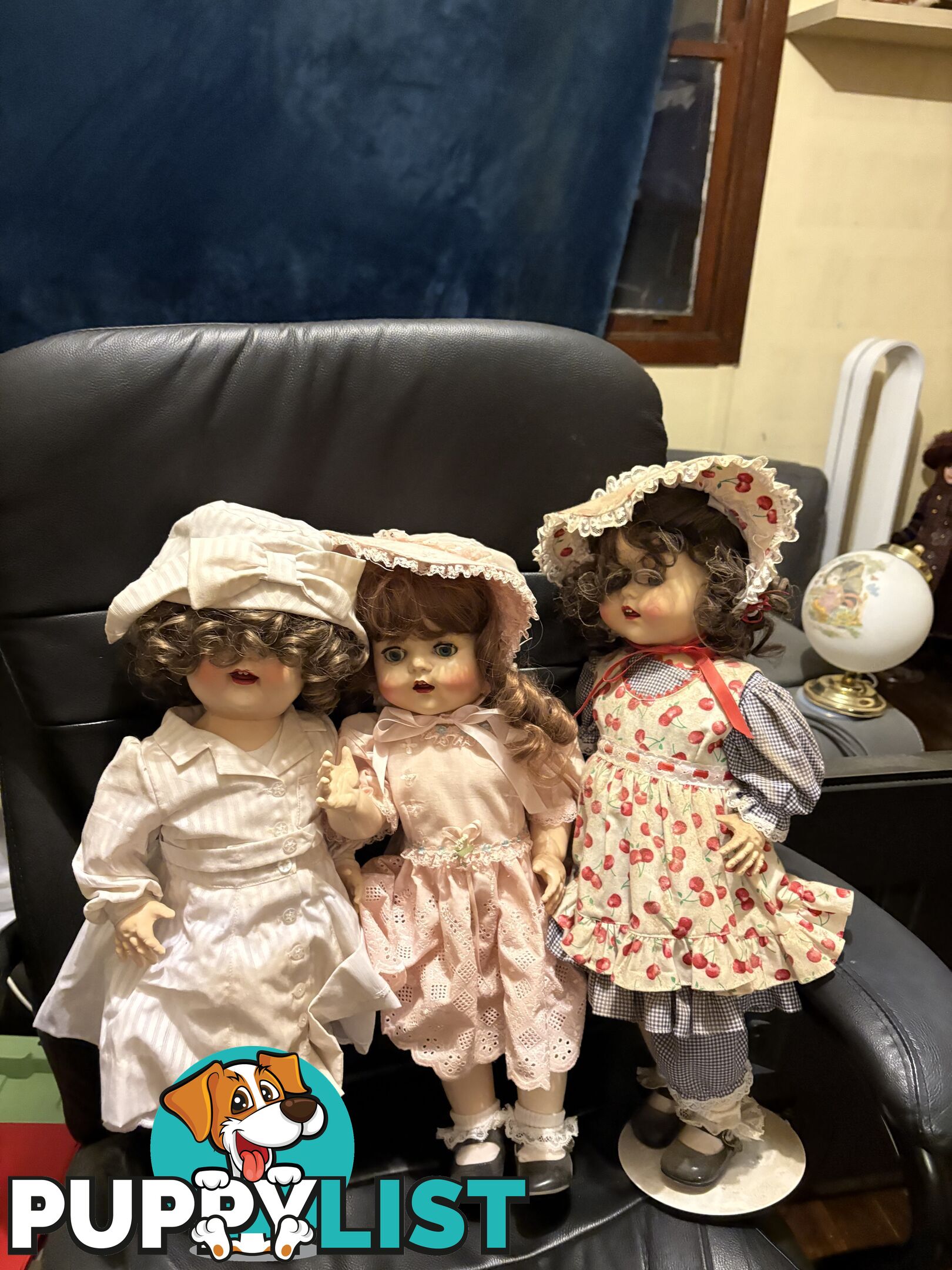 Collectable English Pedigree Dolls