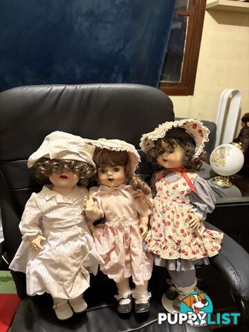 Collectable English Pedigree Dolls