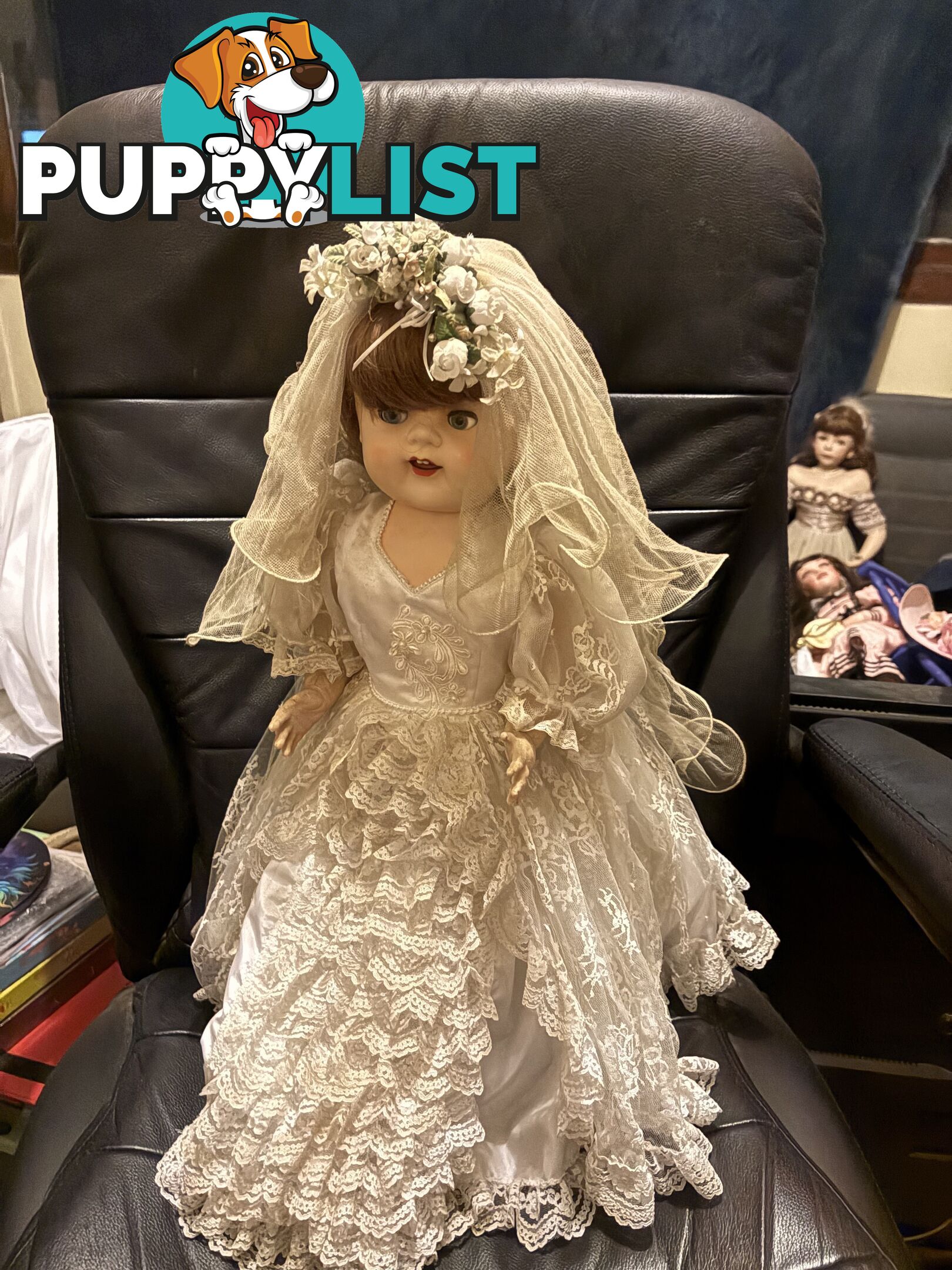 Collectable English Pedigree Dolls