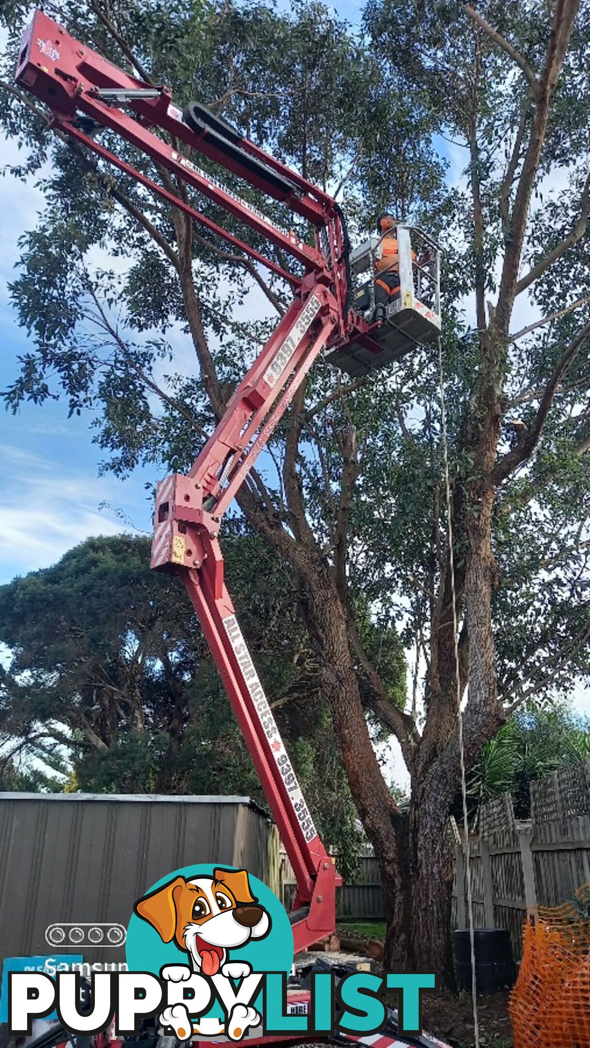 Tree topping 