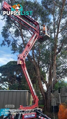 Tree topping 