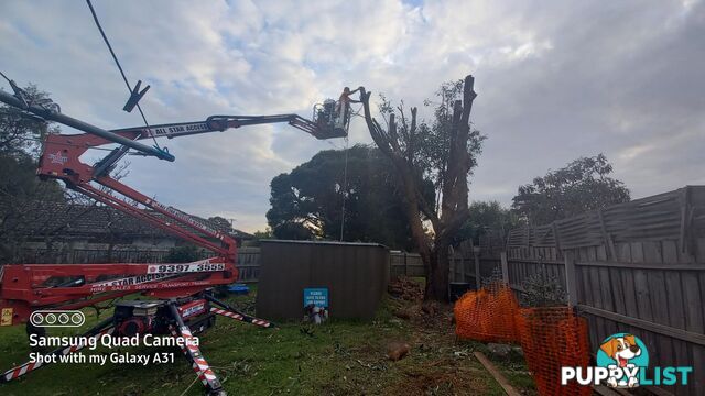 Tree topping 