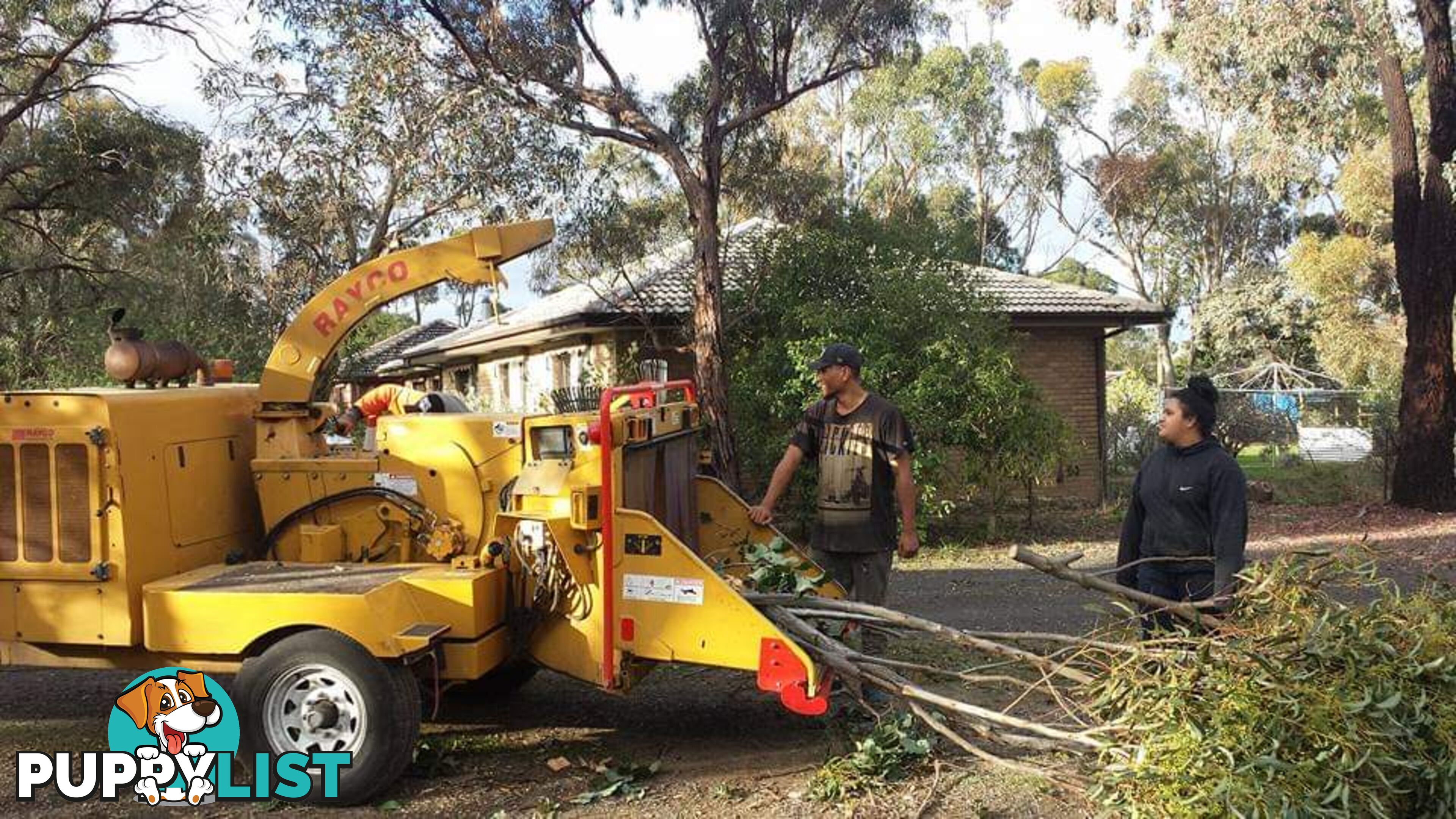 Tree Consulting in Deer Park