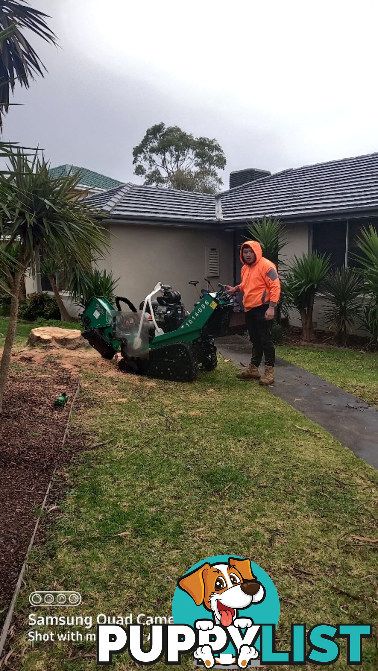 Stump removal 