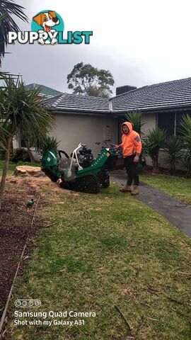 Stump removal 