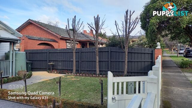 Tree removal trimming 