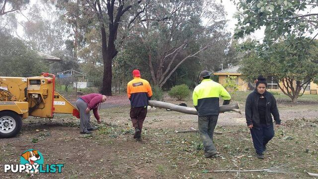 Mulching in Deer Park