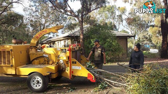 Tree Removal and Stump Grinding in Deer Park