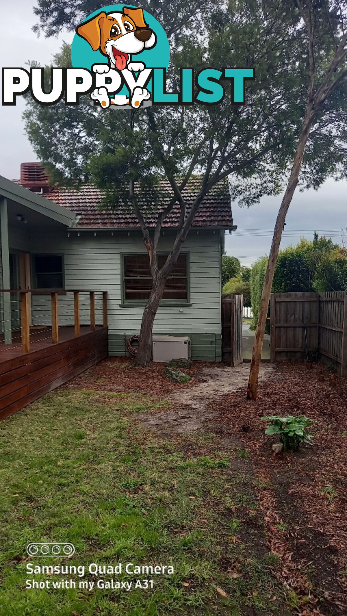 Tree and Stump removal box hill south 