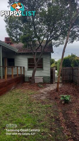 Tree and Stump removal box hill south 