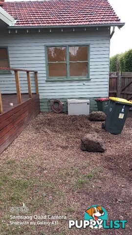 Tree and Stump removal box hill south 