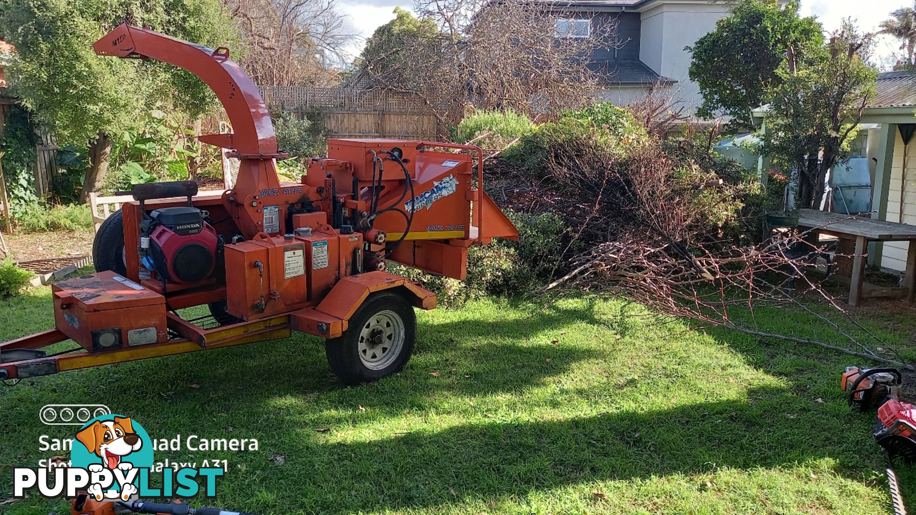 Tree trimming kew east 