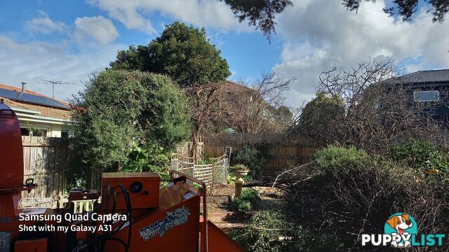 Tree trimming kew east 