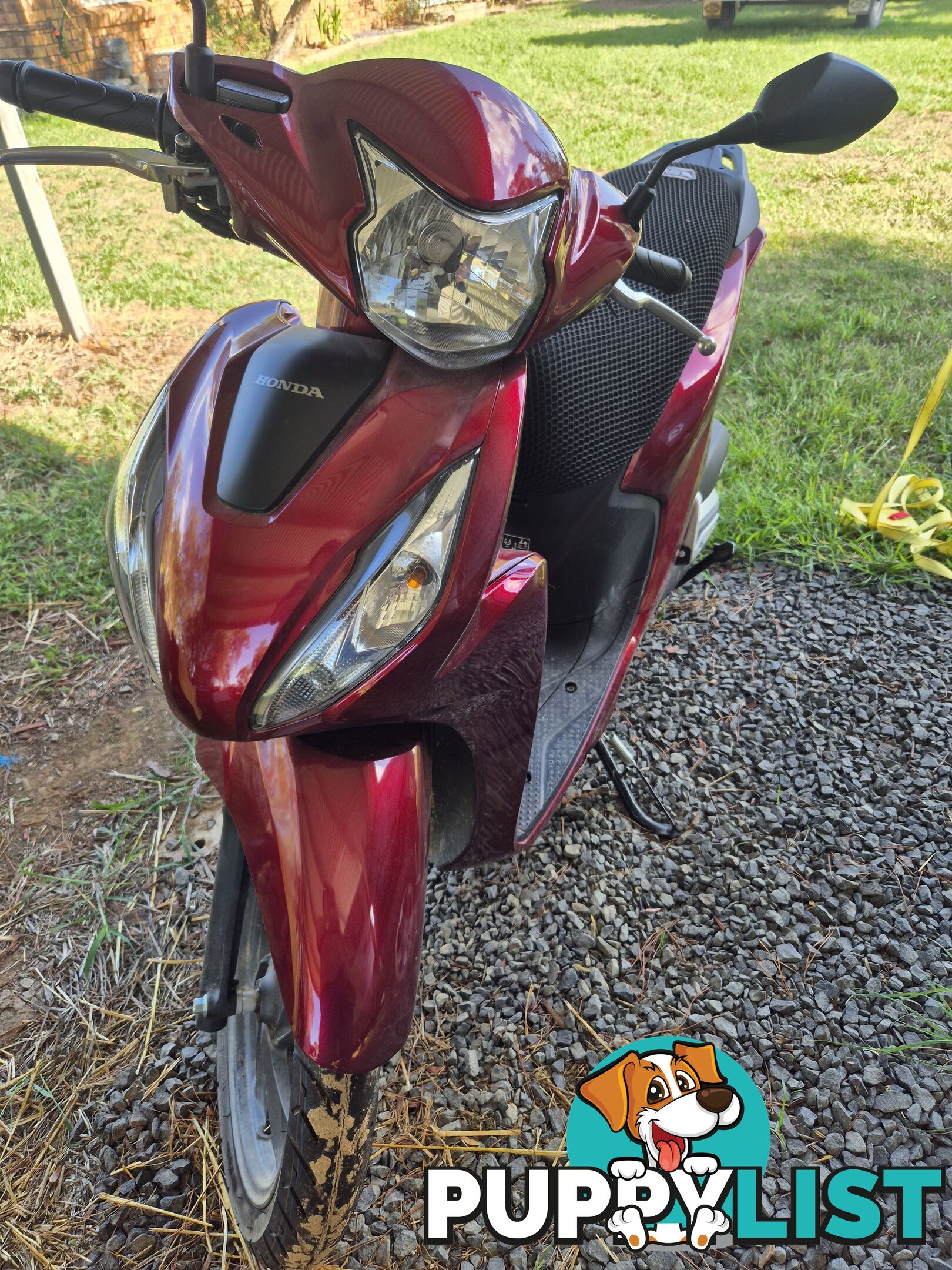 As new 2024 Honda Dio (NSC110)