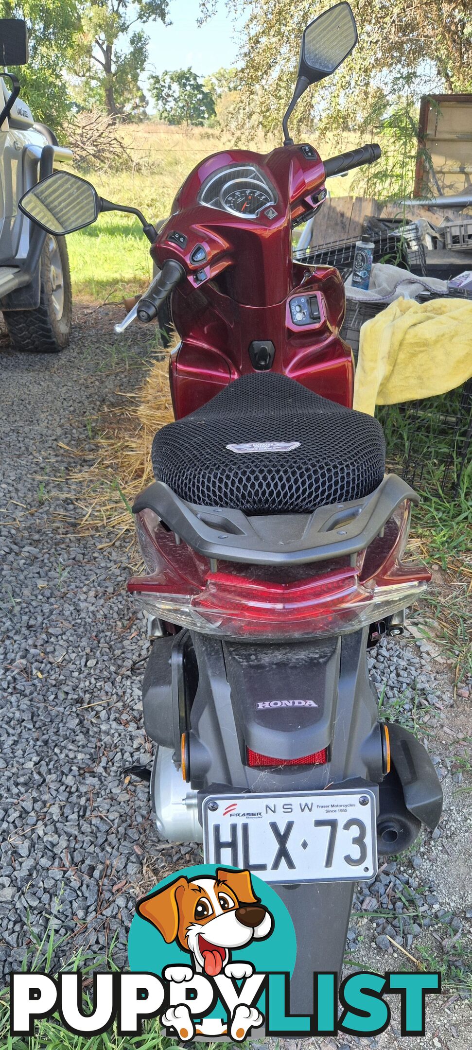 As new 2024 Honda Dio (NSC110)