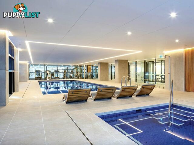 606/1 Chippendale Way CHIPPENDALE NSW 2008
