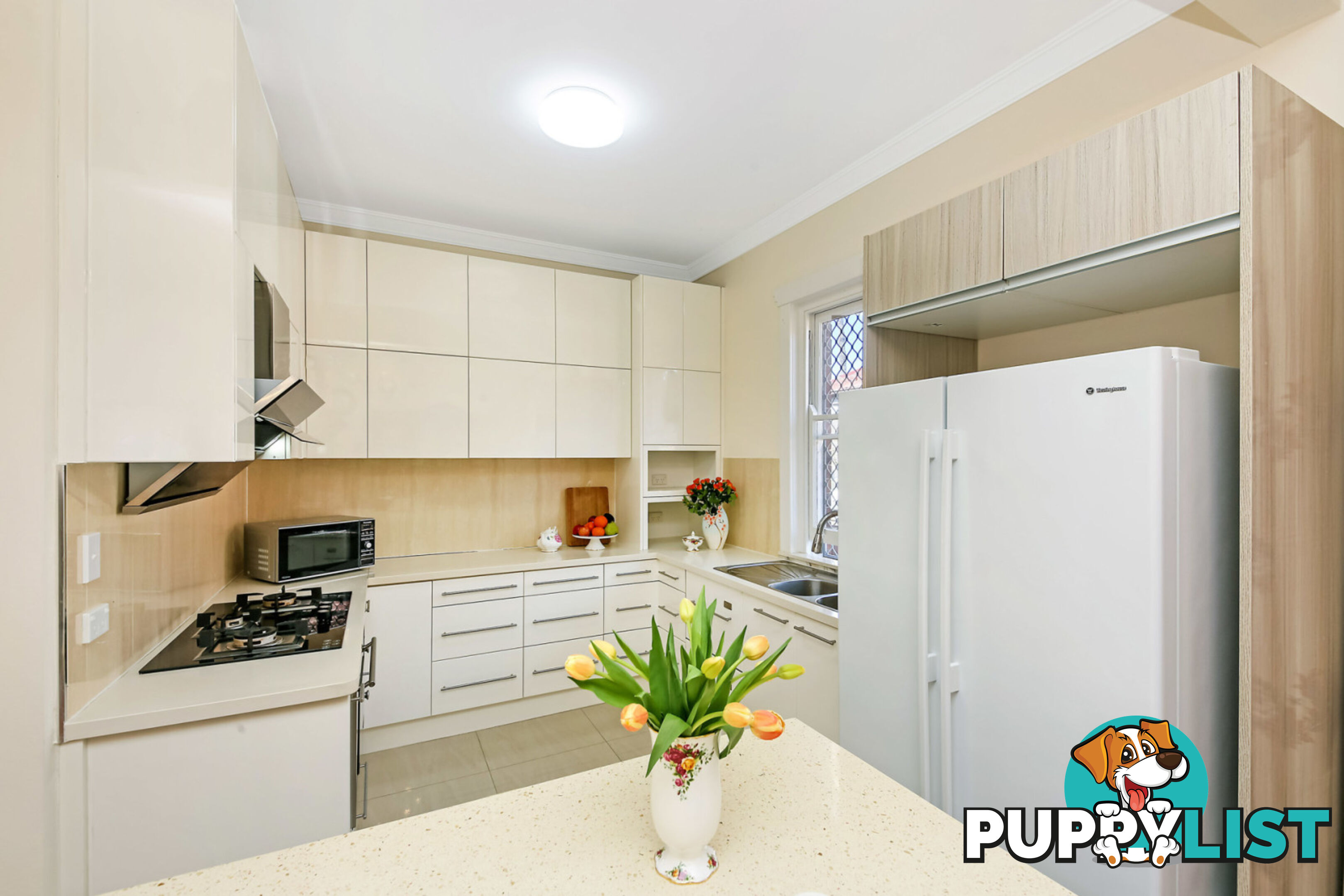 14 Wallace Street BURWOOD NSW 2134