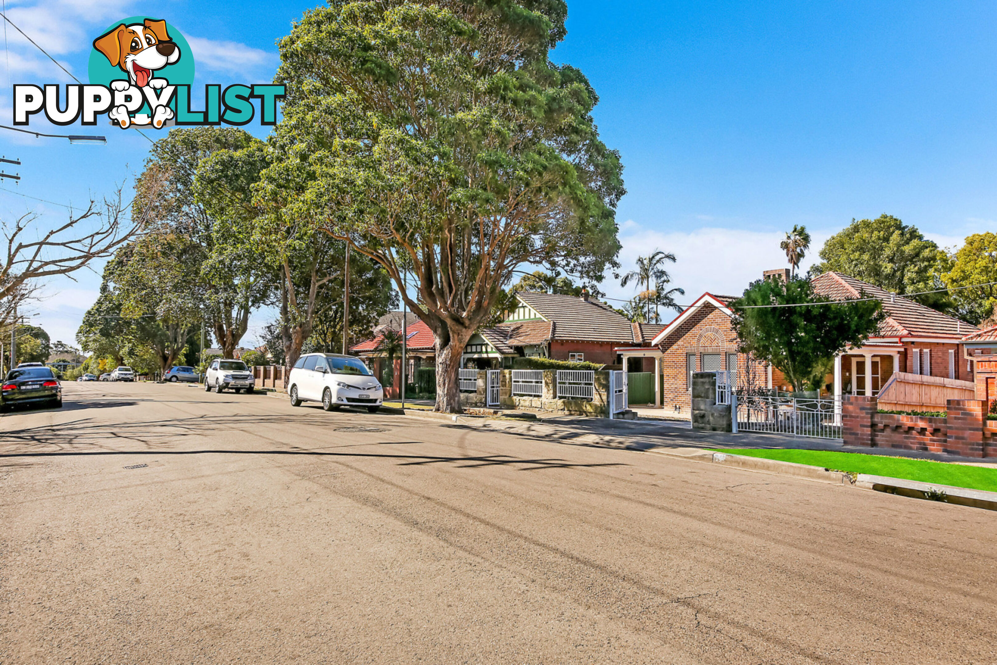 14 Wallace Street BURWOOD NSW 2134