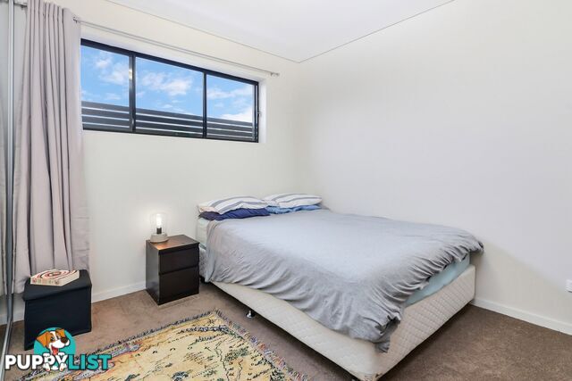 7/36 Burwood Road BURWOOD HEIGHTS NSW 2136