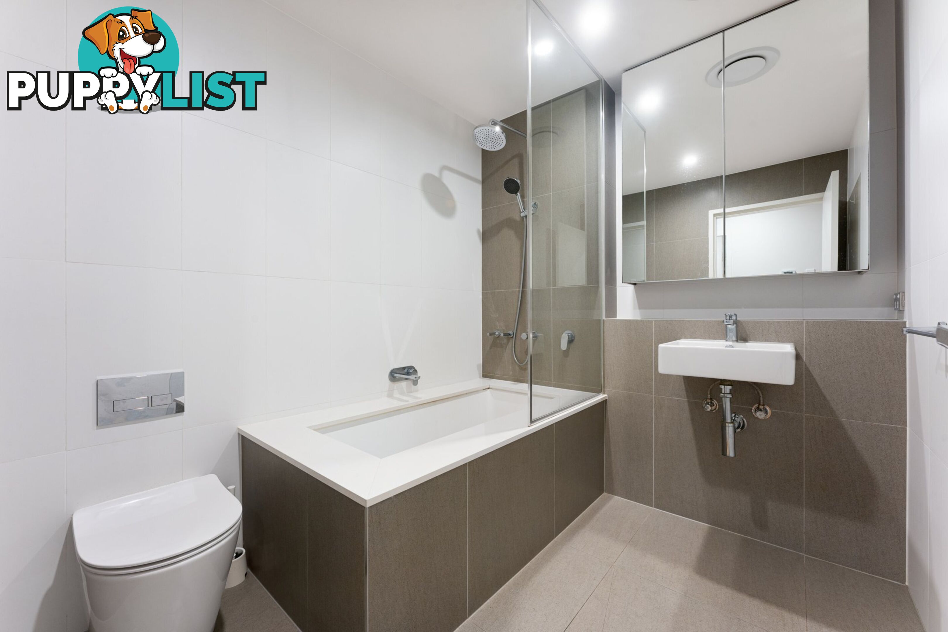 307/11-13 Burwood Road BURWOOD NSW 2134