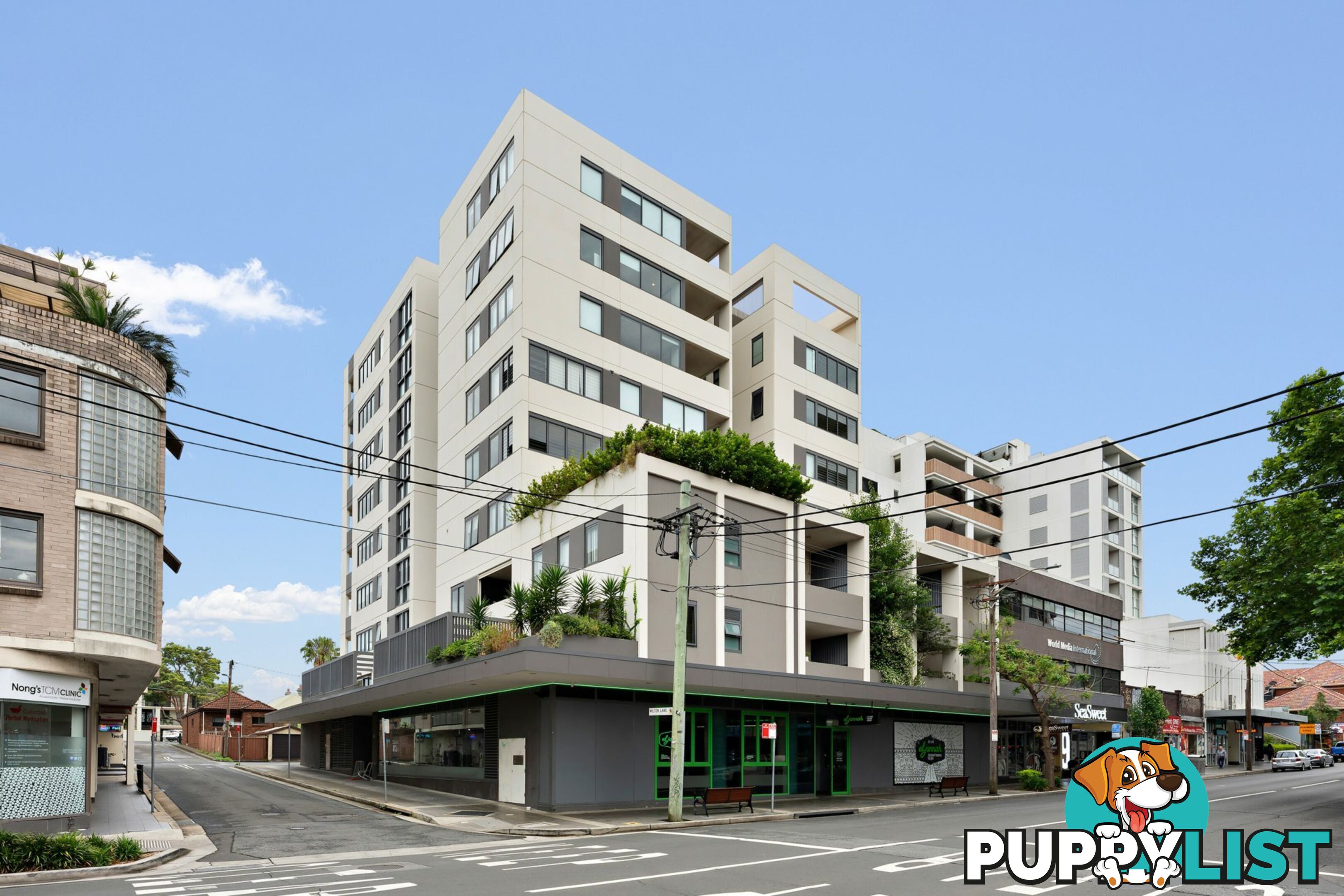 307/11-13 Burwood Road BURWOOD NSW 2134