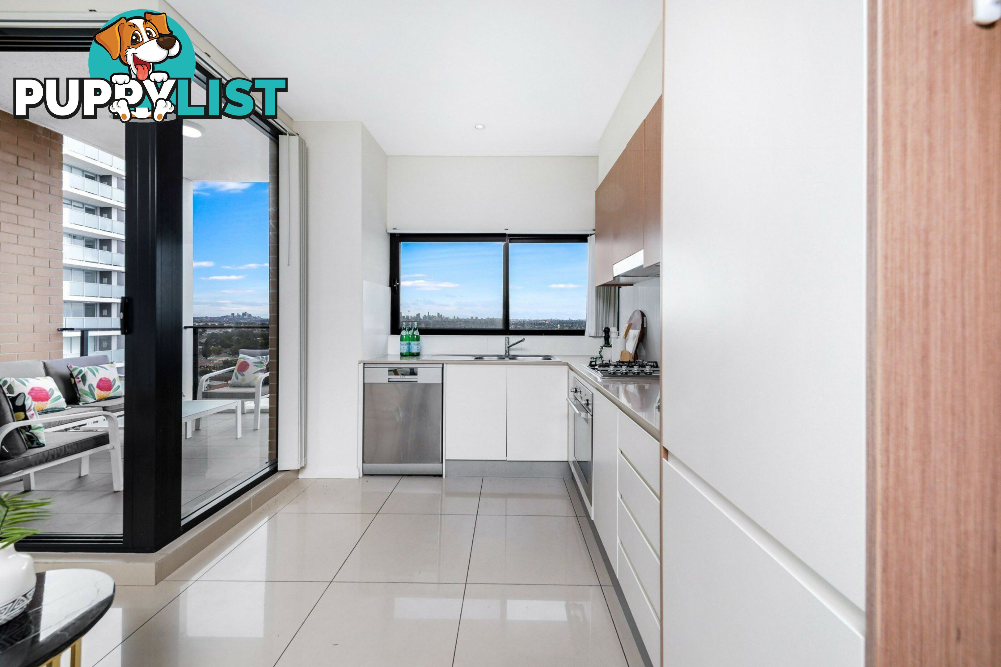 1101/1-3 Elizabeth Street BURWOOD NSW 2134