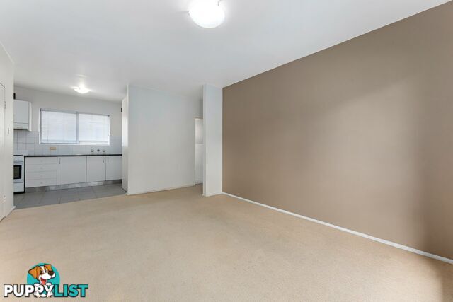 2/51C Burwood Road CONCORD NSW 2137