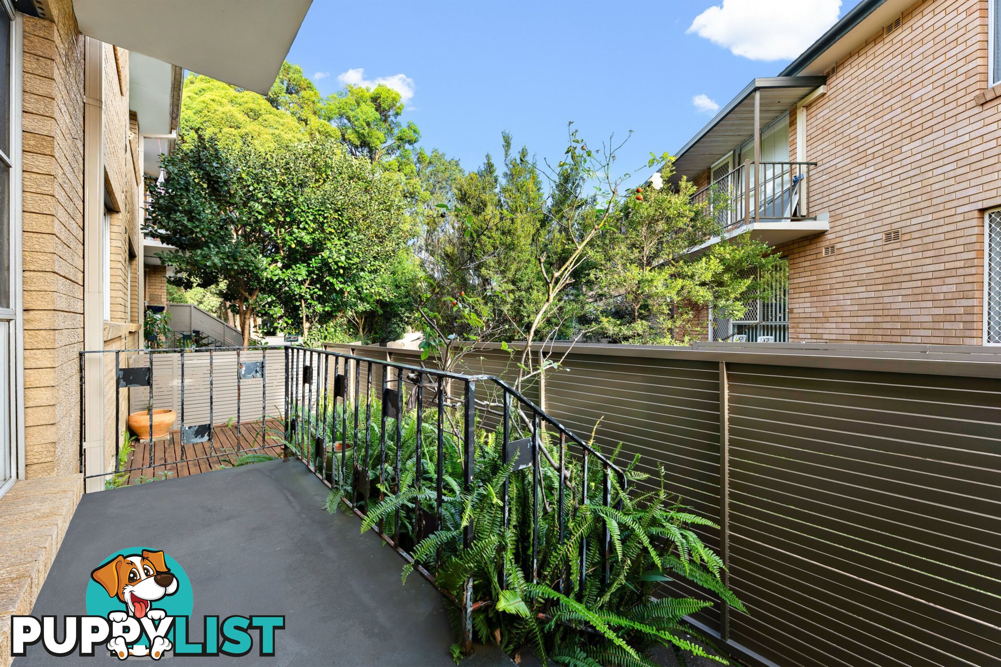 2/51C Burwood Road CONCORD NSW 2137