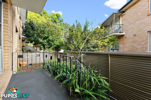 2/51C Burwood Road CONCORD NSW 2137