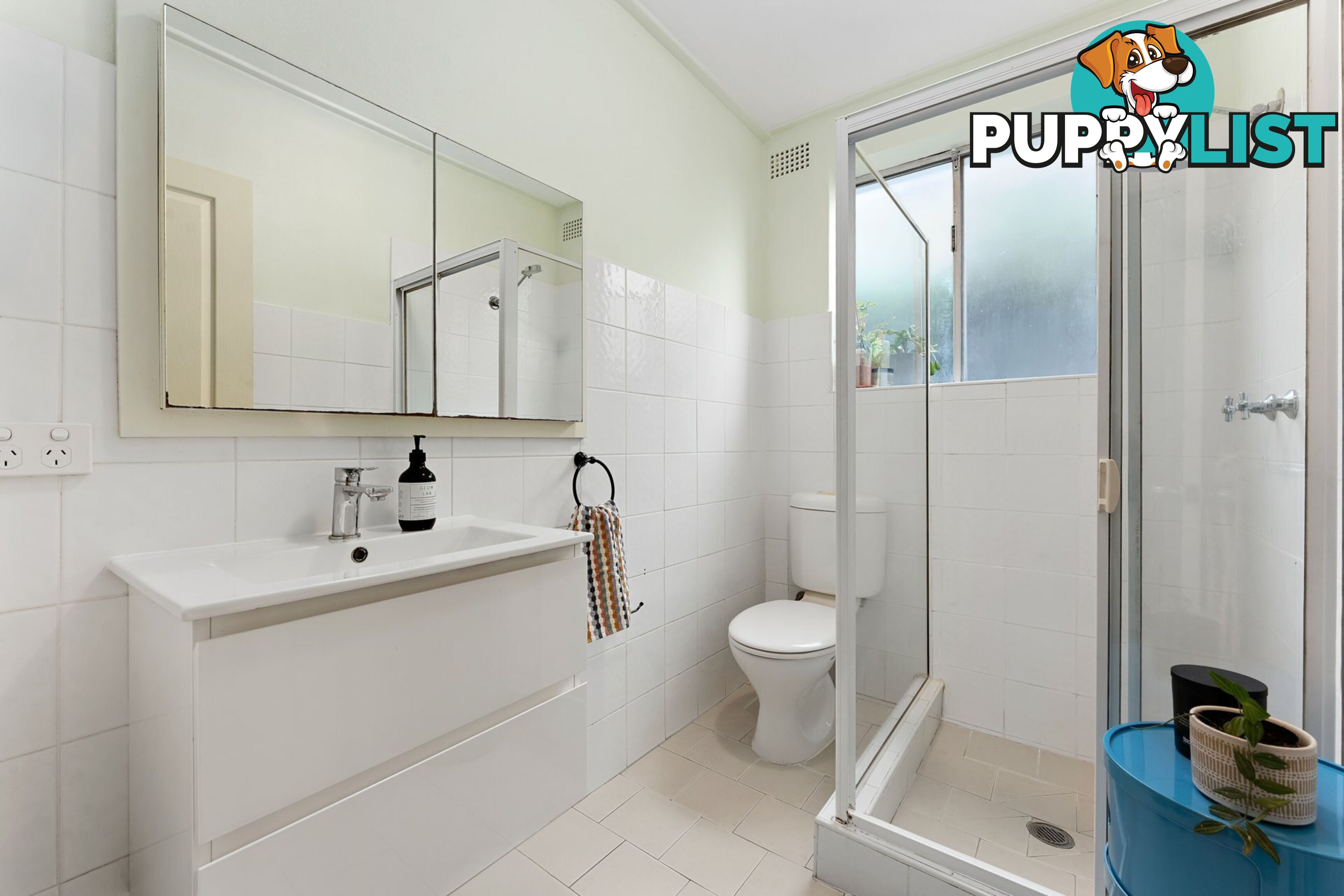 9 Cantor Street CROYDON NSW 2132