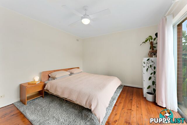 9 Cantor Street CROYDON NSW 2132