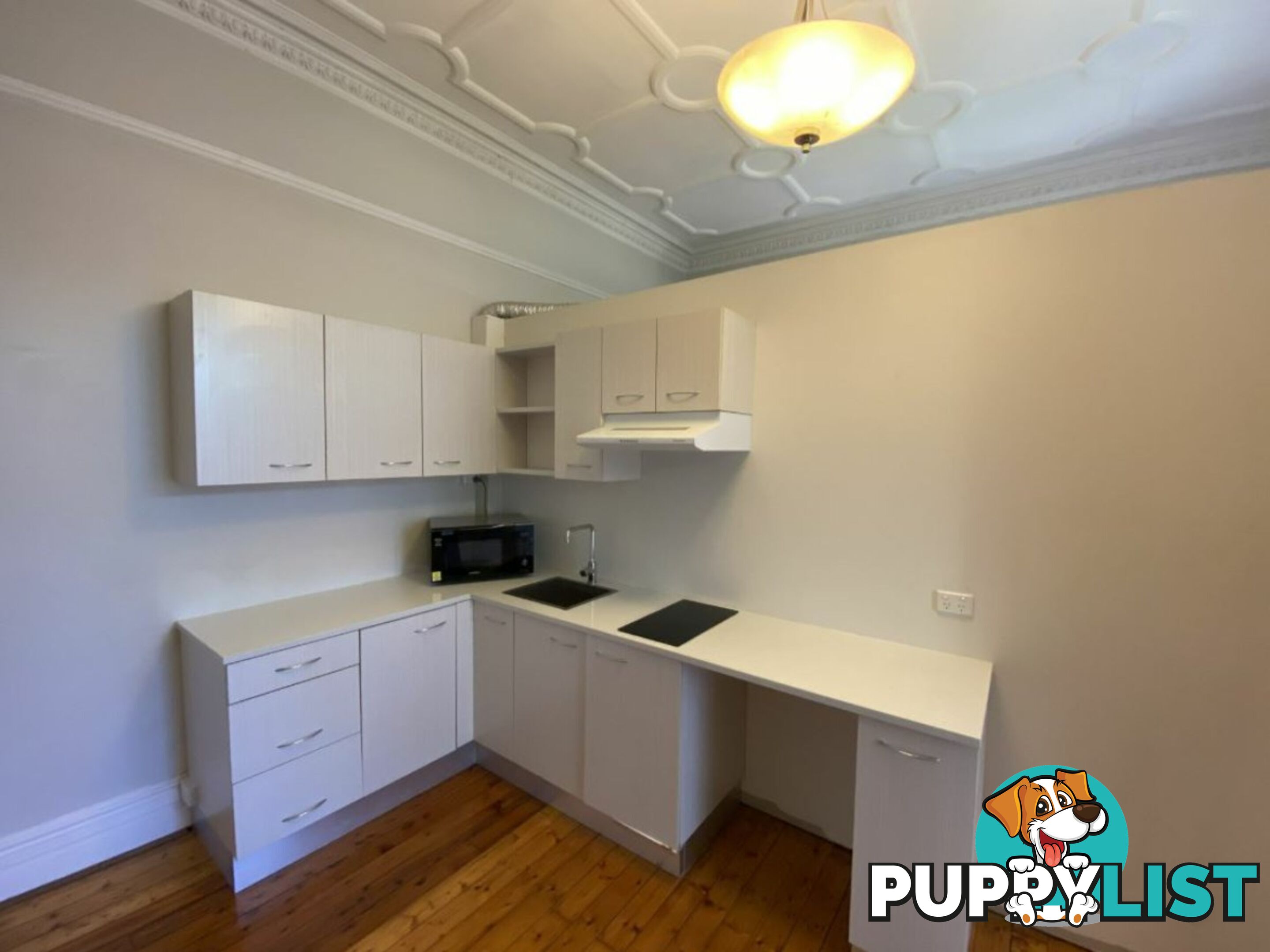 2B/16 Brooklyn Street BURWOOD NSW 2134