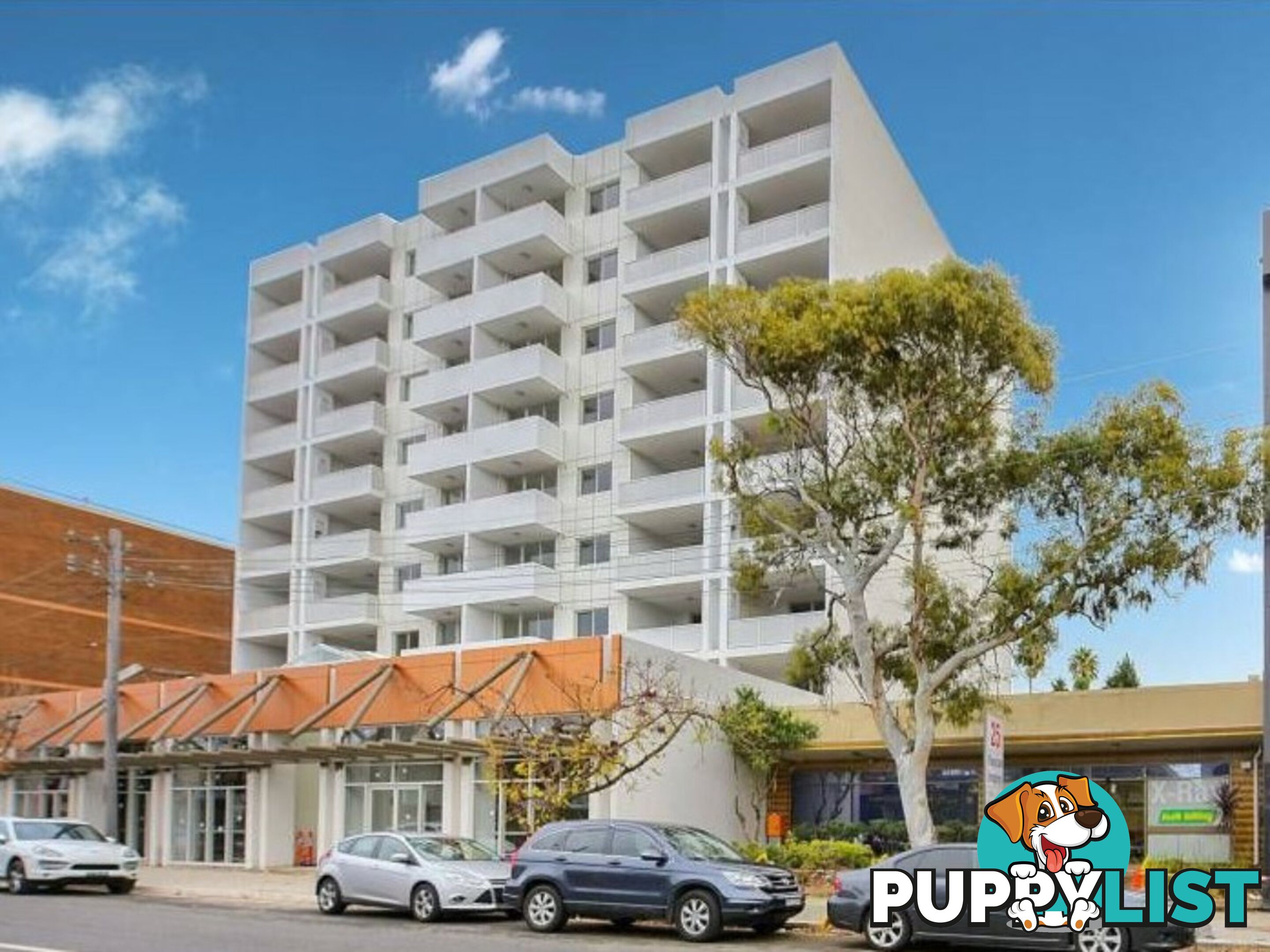 29/27-29 Burwood Road BURWOOD NSW 2134