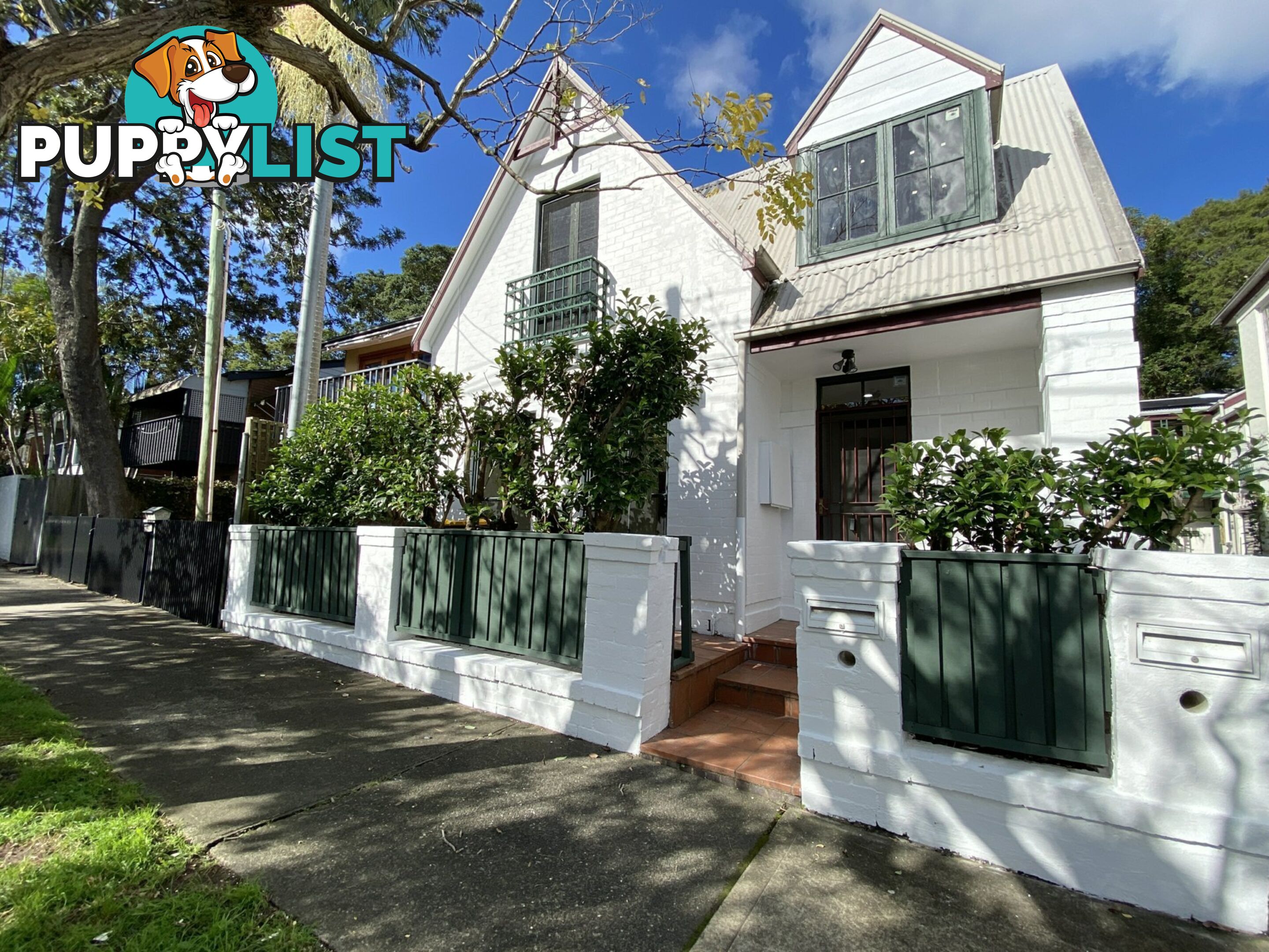 357D Young Street ANNANDALE NSW 2038