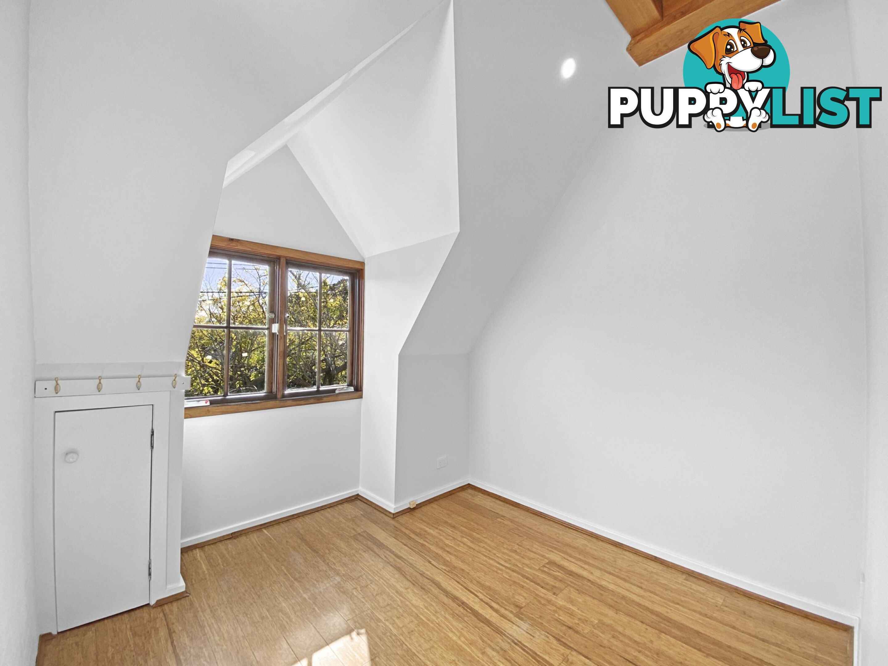 357D Young Street ANNANDALE NSW 2038