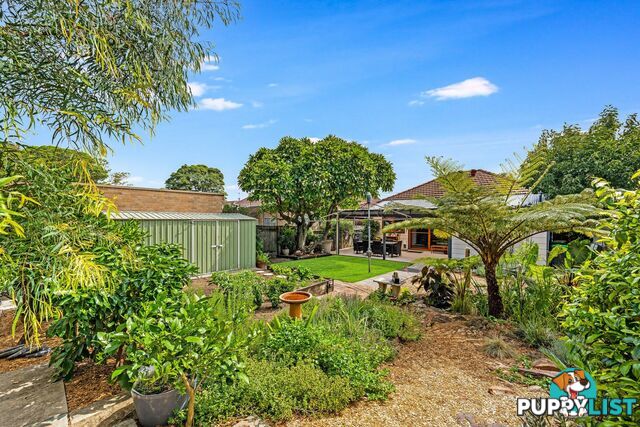 8 Cheltenham Road CROYDON NSW 2132