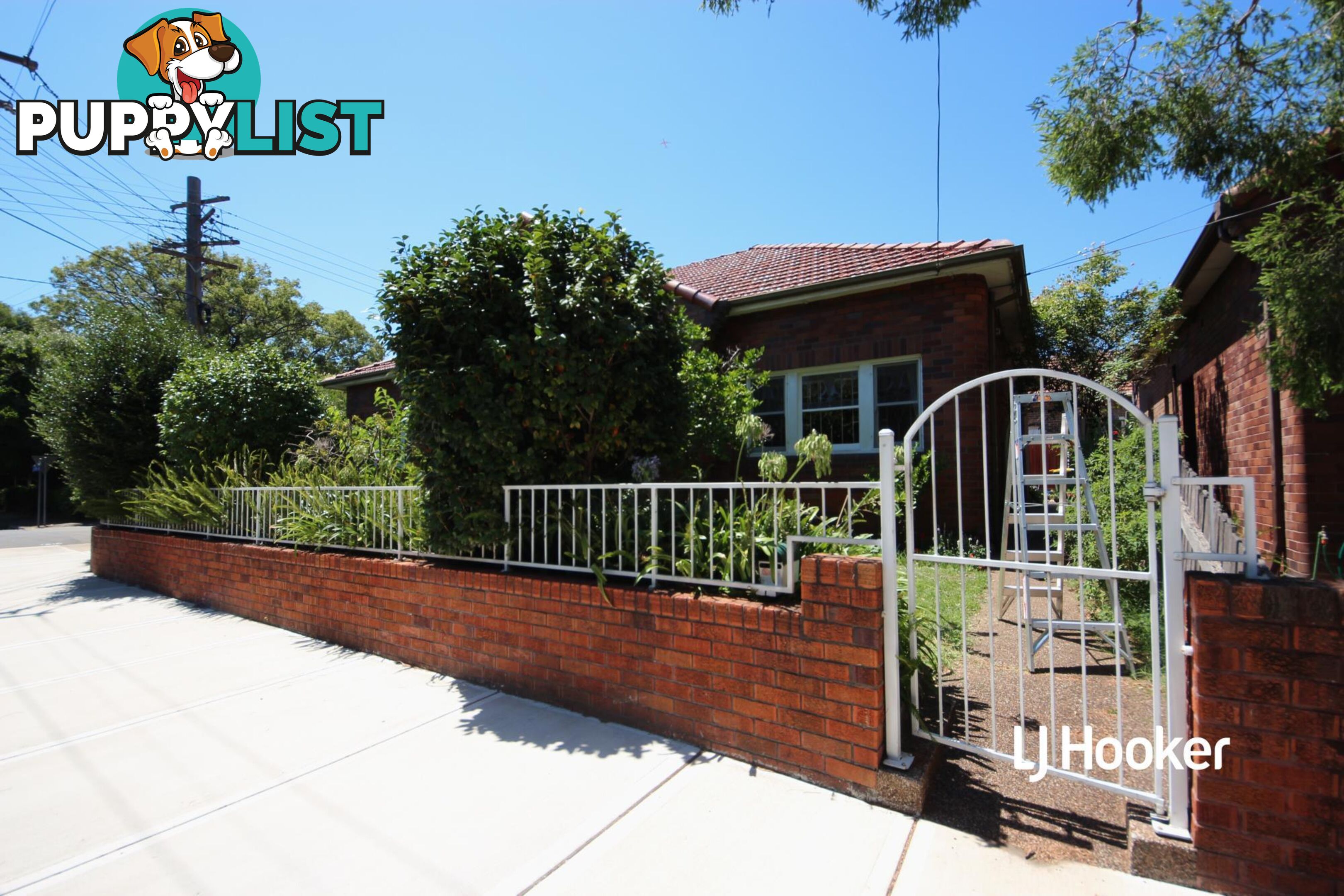 31 Lucy Street ASHFIELD NSW 2131