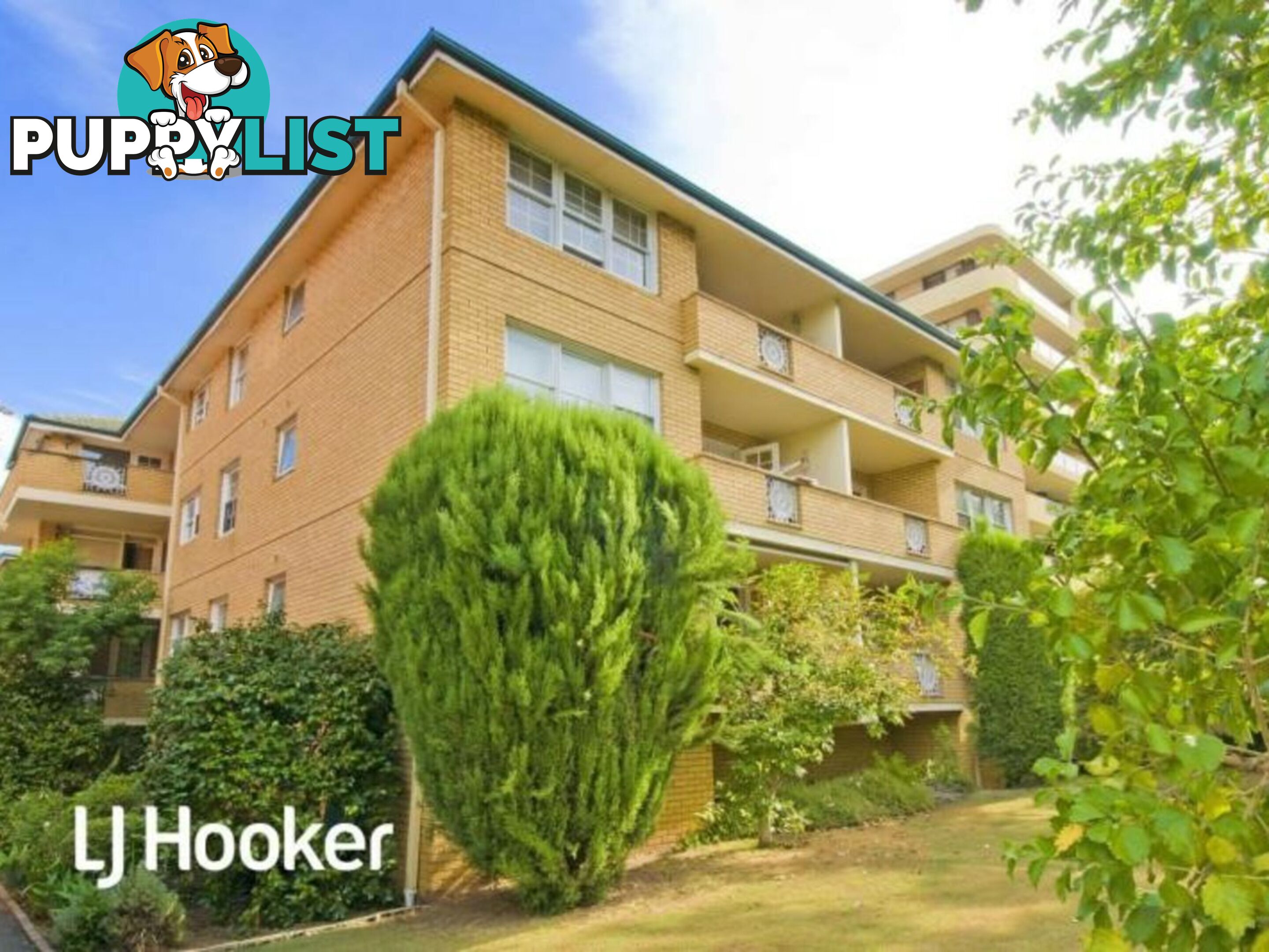 14/22-24 Park Avenue BURWOOD NSW 2134